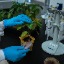 Biopterre - Image
