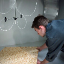 SEREX - Image