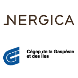 Nergica Logo
